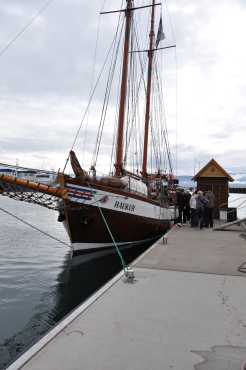 De zeilboot waar we de walvissafari mee gedaan hebben