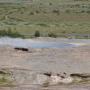 De naamgever, Geysir, ligt er stil bij