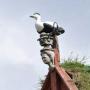 Houten vogel op het dak van het huis