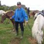 Arjan met beide paarden tijdens de rustpauze
